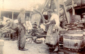 Five men weighing and sorting salmon, Job Brothers & Co. south side premises, St. John's harbour