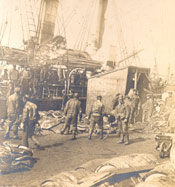 Men landing seals from a vessel