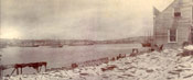 View of St. John's harbour taken from Job Brothers & Co. south side premises 