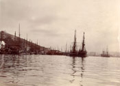 View of Job Brothers & Co. south side premises, St. John's with vessels in the harbour