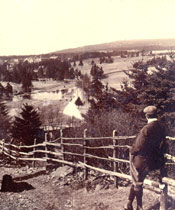 A man and a dog overlooking the pond at Topsail Beach, Conception Bay