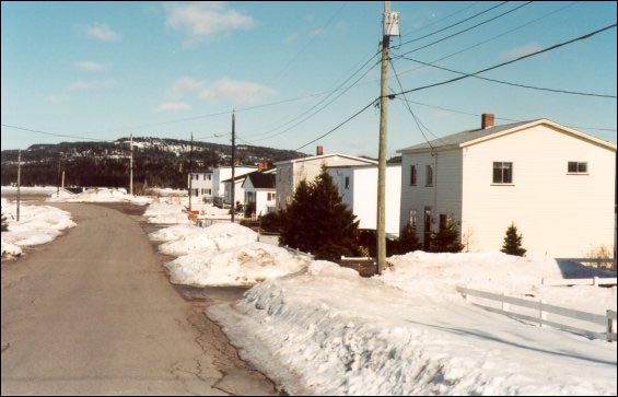 Buffett Road, à Arnold's Cove. Ces maisons ont été transportées sur la baie à partir d'autres collectivités. 