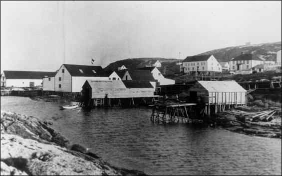 Bâtiments de la Baine, Johnson & Company, Battle Harbour