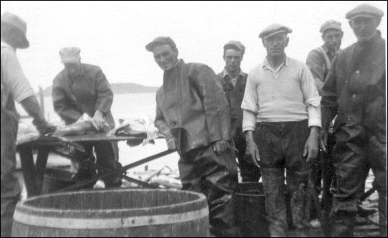 Tranchage du poisson à les îles Colinet