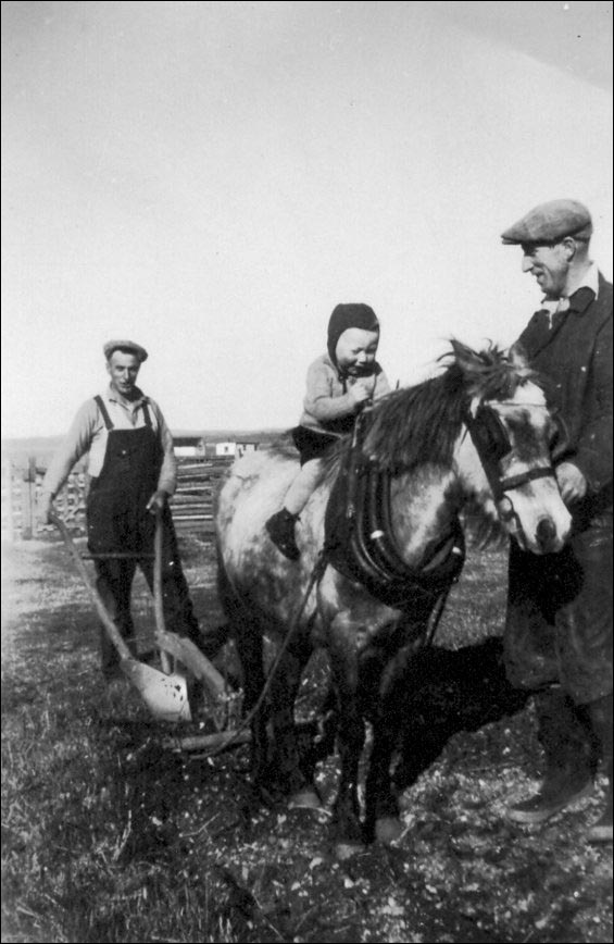 Fabian Power with son Raymond and horse 'Uncle Peter', Regina, Colinet Islands