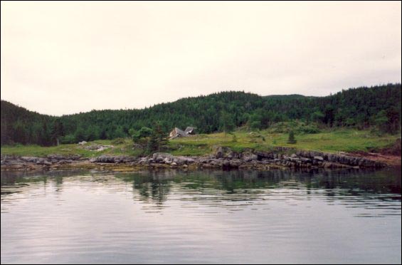 Deer Harbour, many years after resettlement