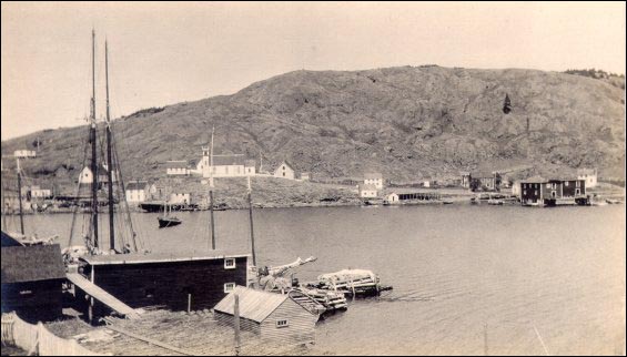 Harbour at Exploits