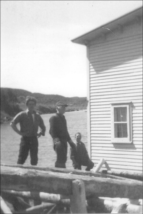Maison de George et Alice Eastman, à North Harbour (baie de Placentia), sur la barge qui l'a transportée de Woody Island (baie de Placentia)