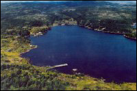 Aerial view of Deer Harbour