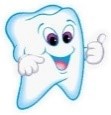 Picture of a Tooth