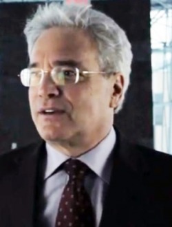 Dr. Stephen Bornstein, Director, NLCAHR