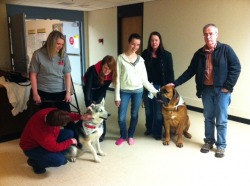 From left, handlers Angela Martin and Lesley Gallivan with their dogs Maggie and Joey spend some quality time with students