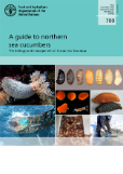 Cover - Guide to northern sea cucumbers 2023