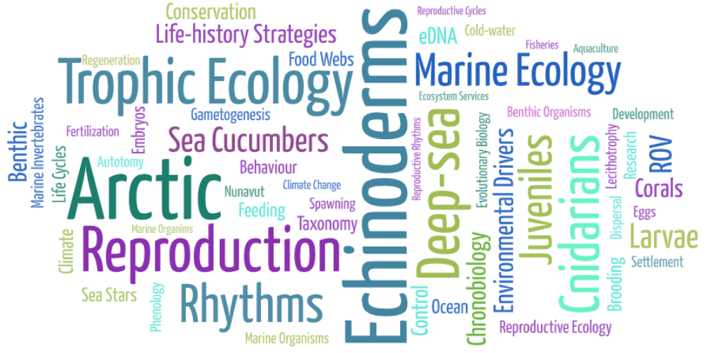Word Cloud Mercier Lab