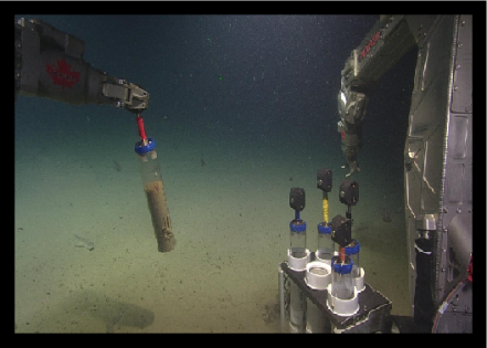ROPOS Collecting Sediment Core Samples Seafloor