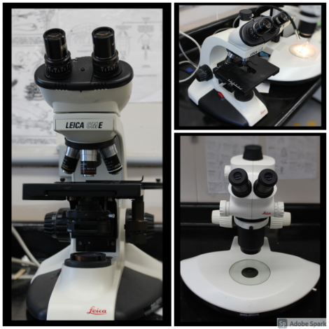Three Microscopes