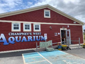 Champney's Aquarium