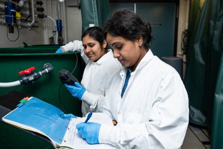Two Graduate students recording sample tests from the Ocean Sciences Laboratory