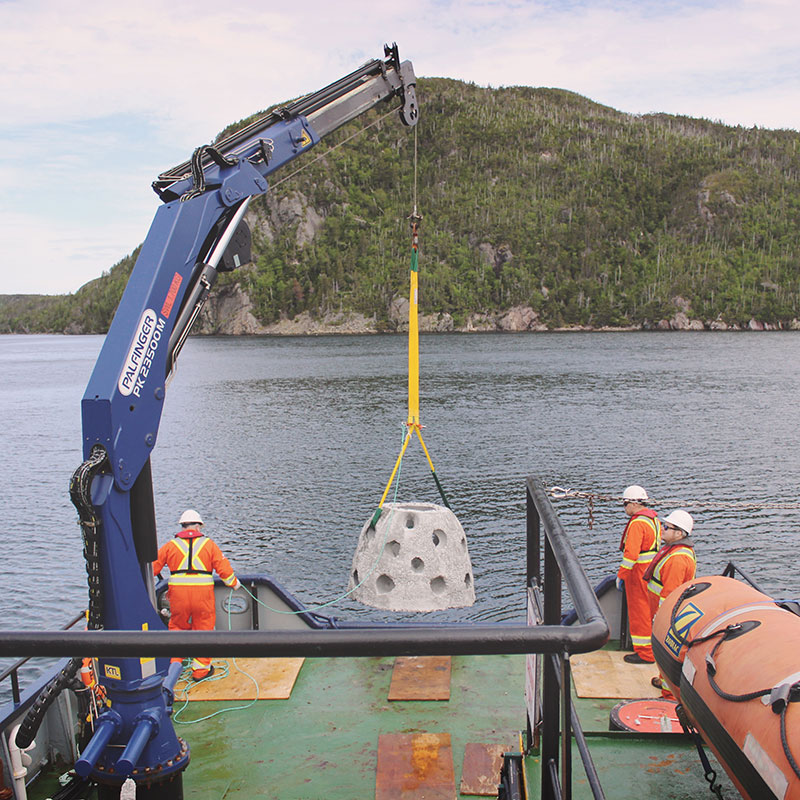 CFER-REEF-Deployment170