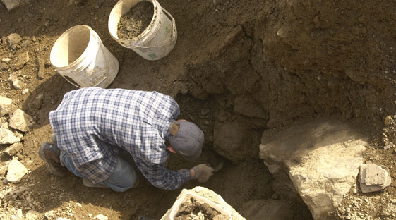 Ferryland Dig