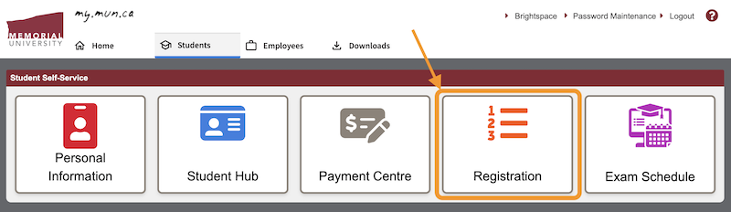 A row of buttons for Student Self-Service. The button for Registration has an orange arrow point towards it.