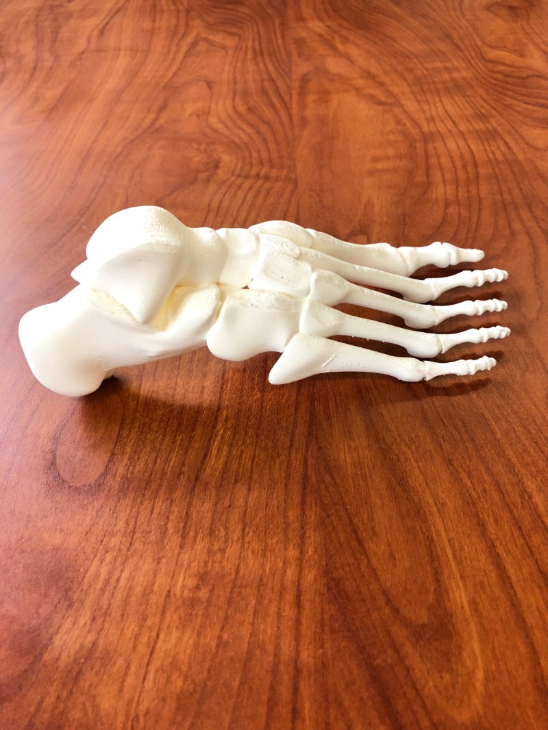 Passionate researchers use 3D printing technology to advance health care. Photo submitted.