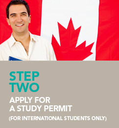 apply for a study permit