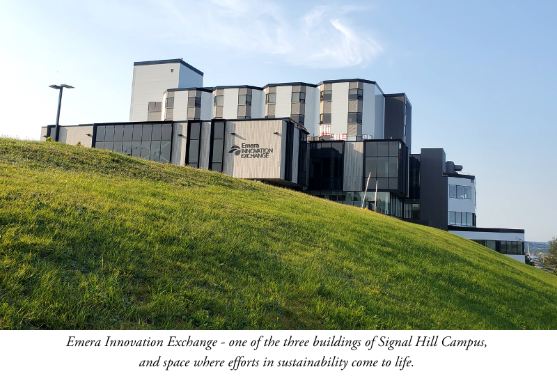 Emera Innovation Exchange behind a meadow