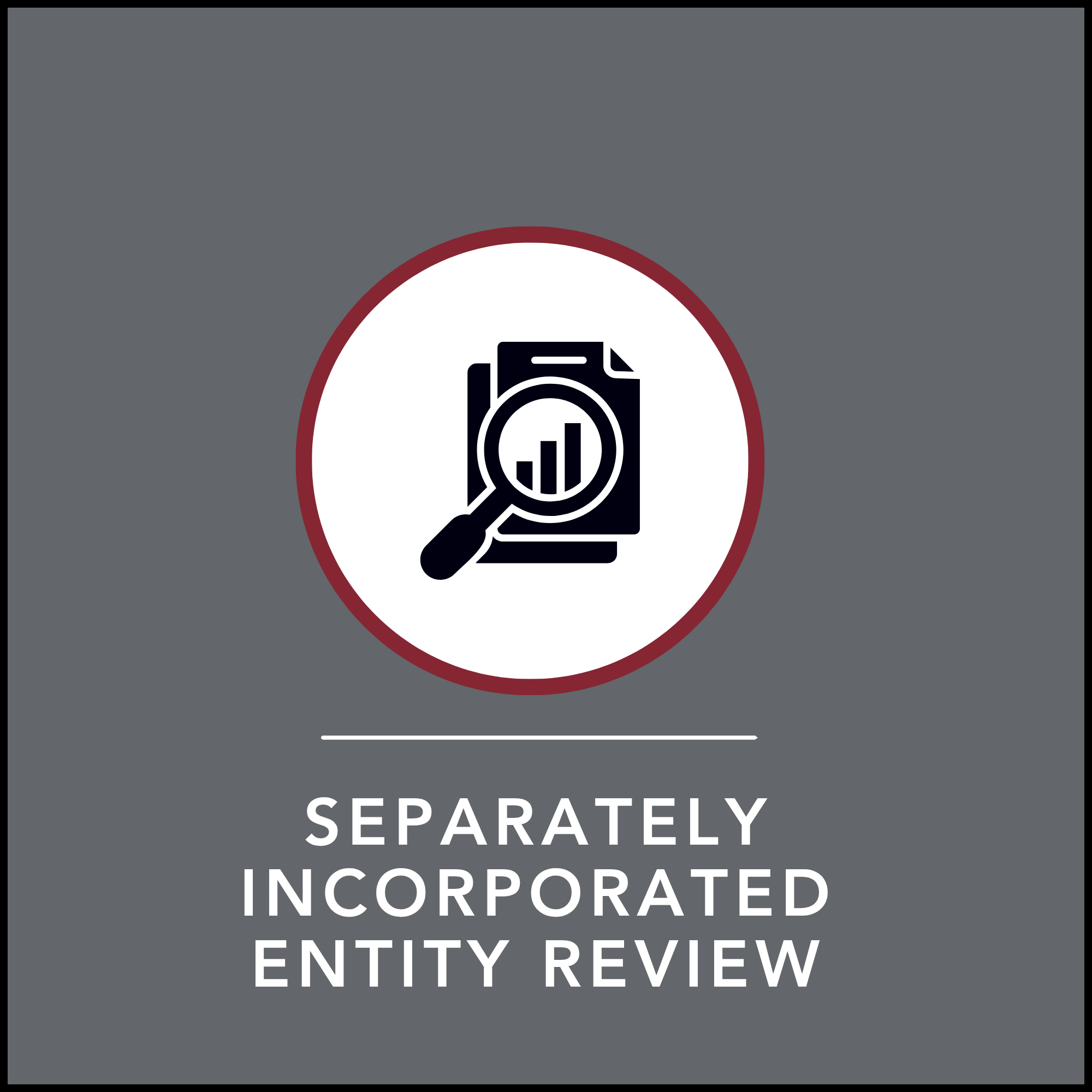 Icon of a magnifying glass and documents with the words, "Separately Incorporated Entity Review" below