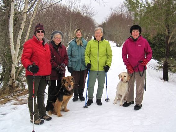 Trailway_Group_15-02-23